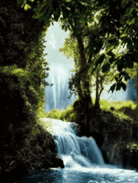 Animated river in jungle